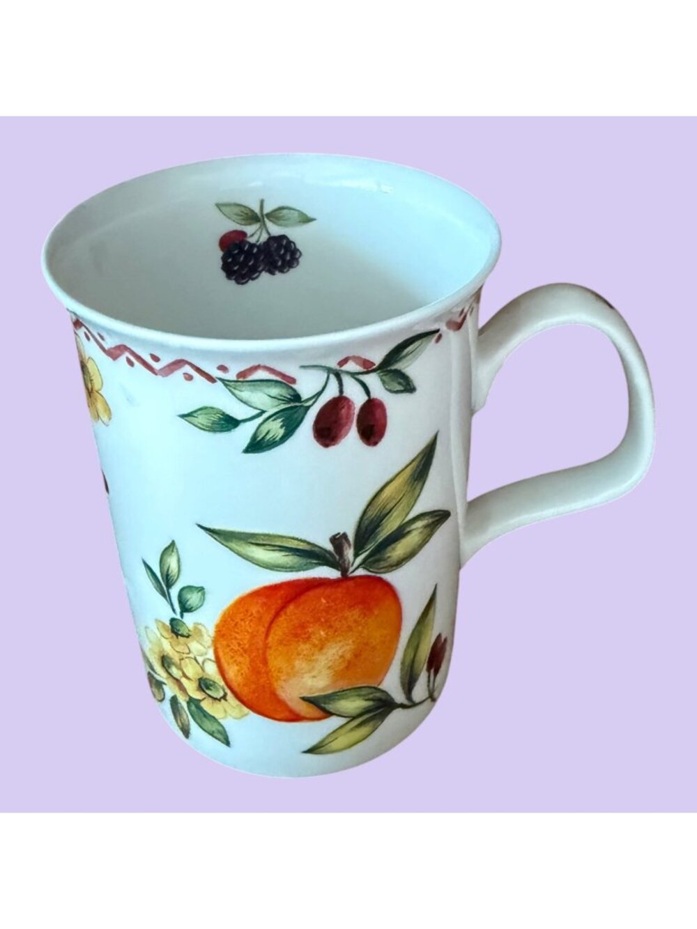 Vintage Autumn Fruits Roy Kirkham Fine Bone China Handled Mug